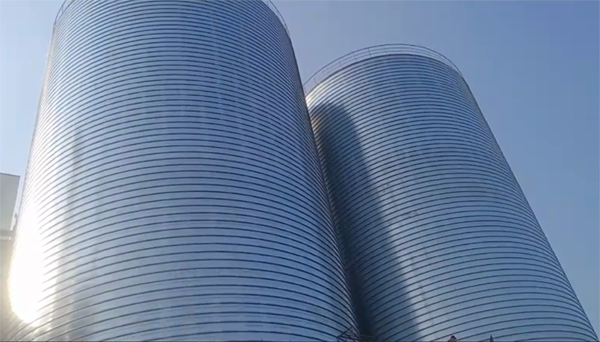 细水乡2座混凝土高架卷板仓